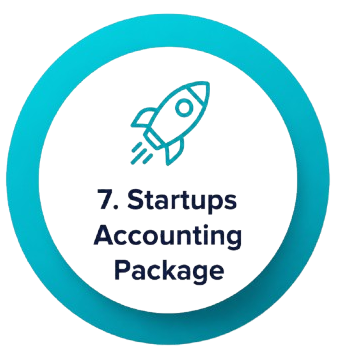 Startup accounting support